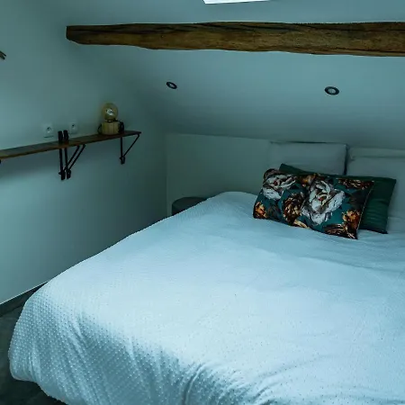 Holiday home Cosy Mansion With Private Terrace And Sauna Aywaille