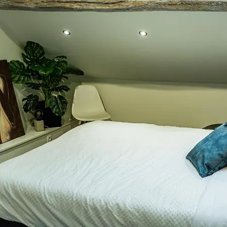 Cosy Mansion With Private Terrace And Sauna Holiday home